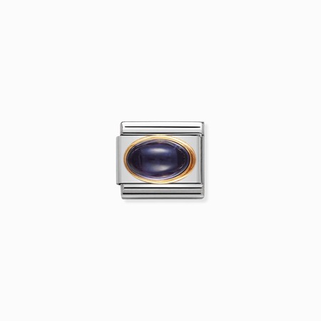 Nomination Gold Oval Iolite Stone Composable Charm